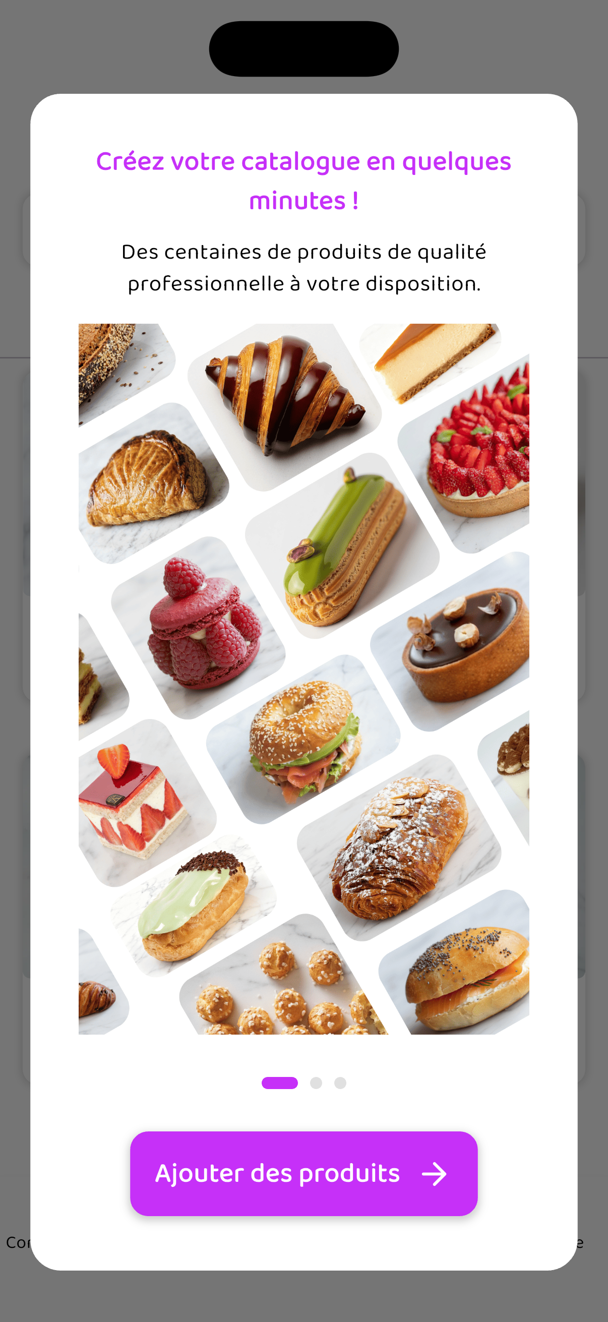 Création du catalogue OOGA : sélection de produits professionnels et ajout de produits.